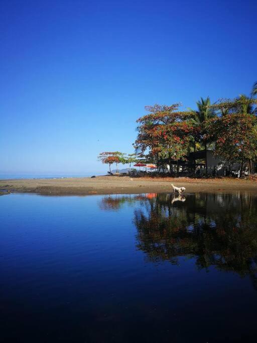 Lapa House 4 Villa Jaco Exterior photo